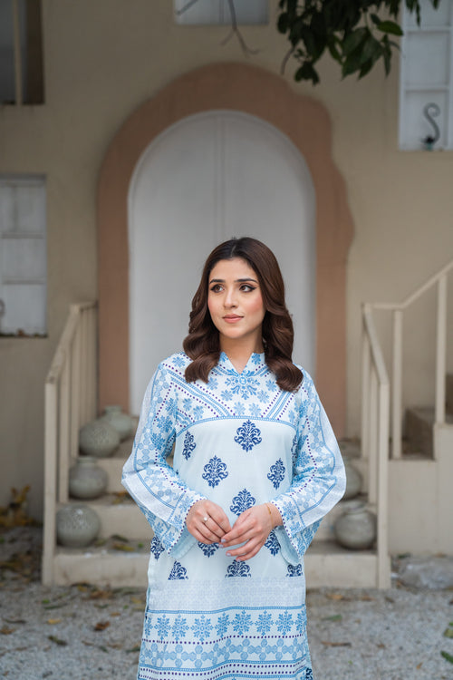 Blue Heritage Printed 2Pcs